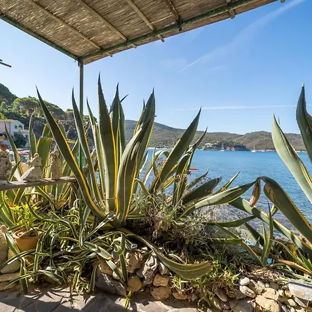 Agave Direclty On The - Goelba * بورتوفيرّايو