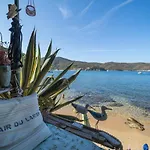 Agave Direclty On The - Goelba *