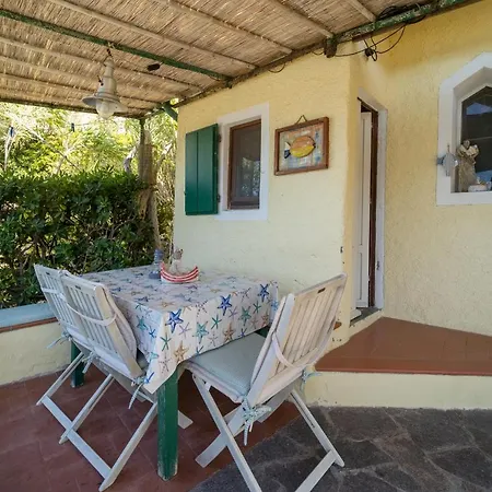 Agave Direclty On The - Goelba 아파트 포르토페라이오