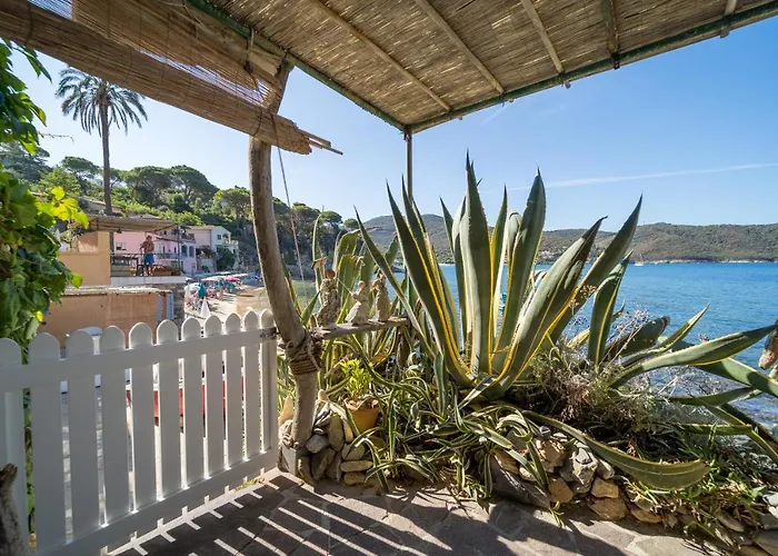 Agave Direclty On The - Goelba