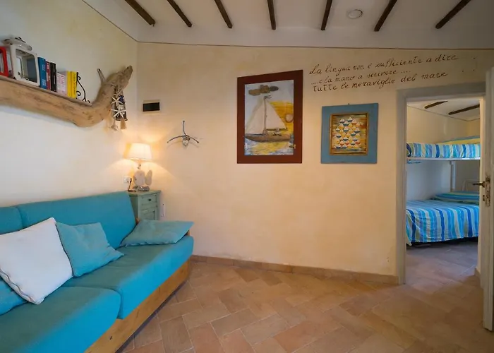 Agave Direclty On The - Goelba 포르토페라이오