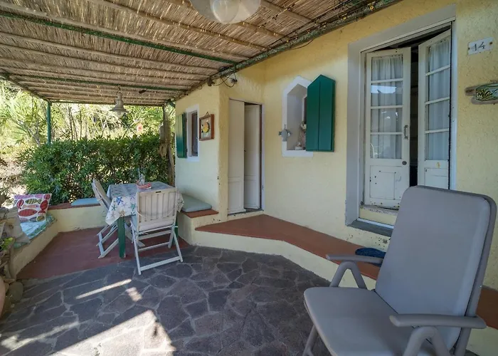 Agave Direclty On The - Goelba * 포르토페라이오