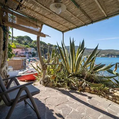 Agave Direclty On The - Goelba Appartement