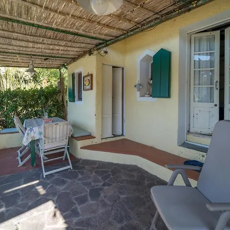 Agave Direclty On The - Goelba * Portoferraio