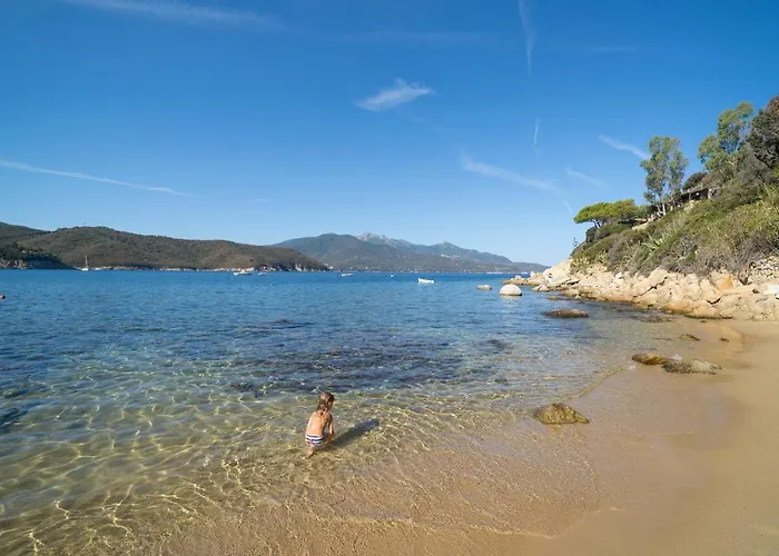 Agave Direclty On The - Goelba Portoferraio