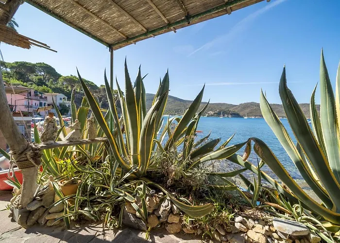 Agave Direclty On The - Goelba * Portoferraio