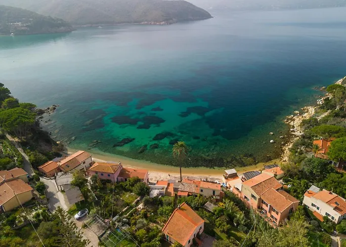 Agave Direclty On The - Goelba * Portoferraio